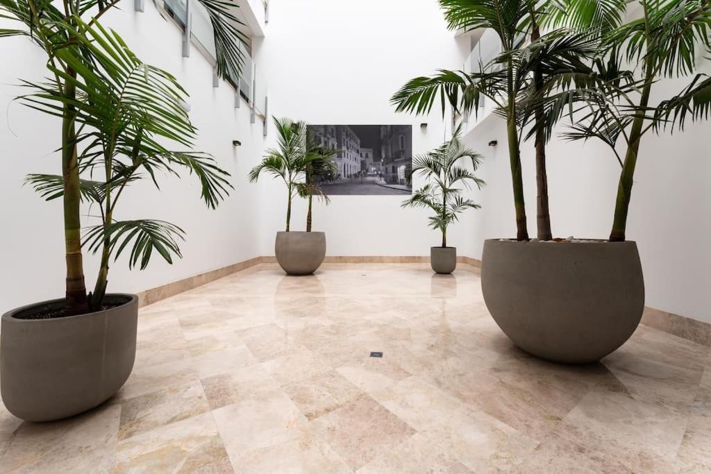Premium Flat In Malaga Center With Free Parking Málaga Exterior foto